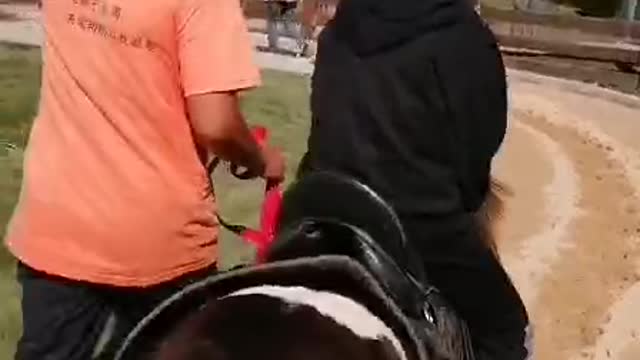 Horses run fast.