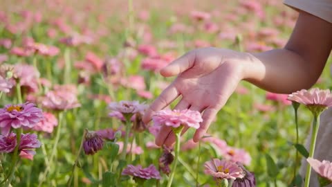 videos/woman-flowers-plants-field-garden