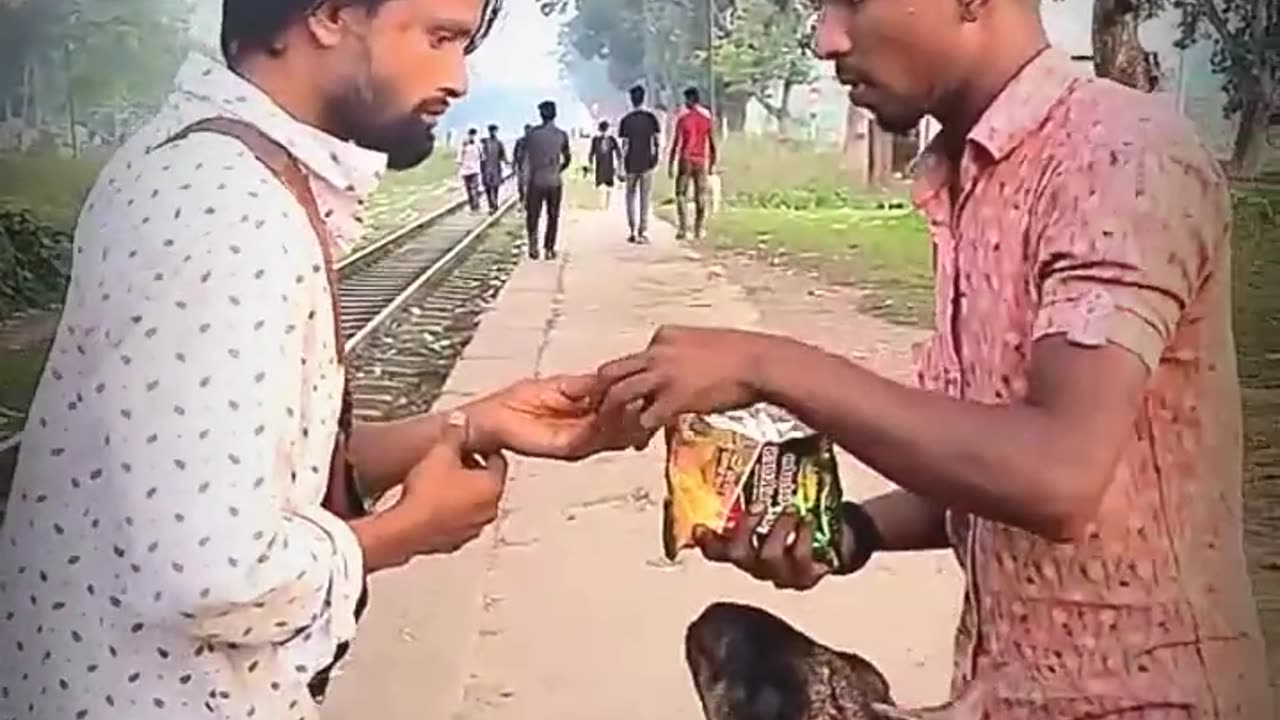 কি খাস একটা দে ফানি ভিডিও