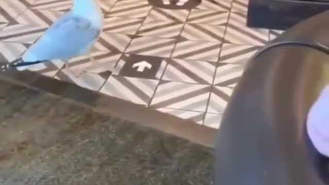 Perfect Hunter 😂😂