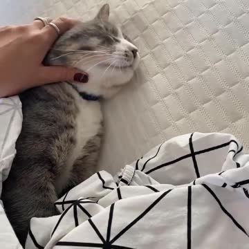 Yummy affection in the morning