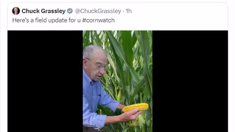 #CornWatch | VK Post