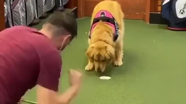 How to play golf ⛳
