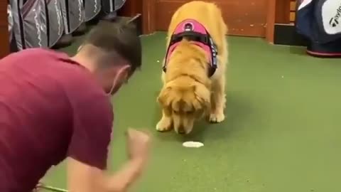 How to play golf ⛳