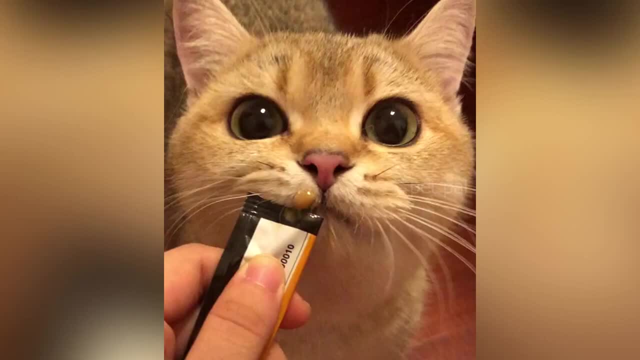 Interesting funny