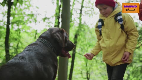 Little girl playing with the dog and eating it