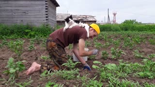 Cute Kitty Helps With Gardening