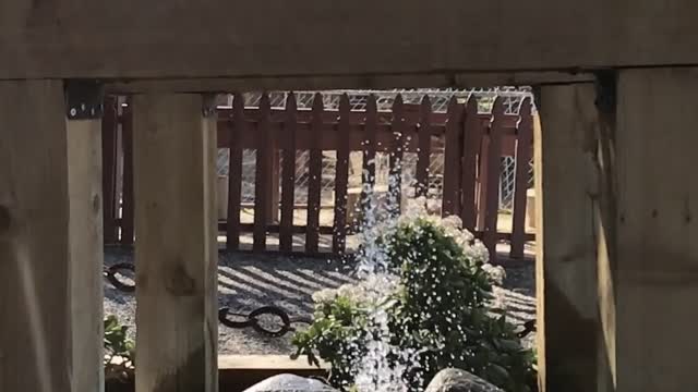 Water Fountain in Montebello Barnyard Zoo