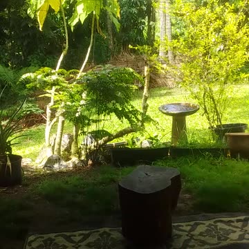 11.11.2024 Coondoo Street