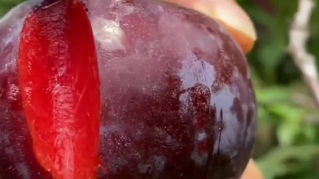 😍🍇🥭Farm Fresh Ninja Fruit Cutting (Desi Satisfying Fruit Ninja) 🍇🥭Fruit Ideas | Amazing Fruits 😍🍇