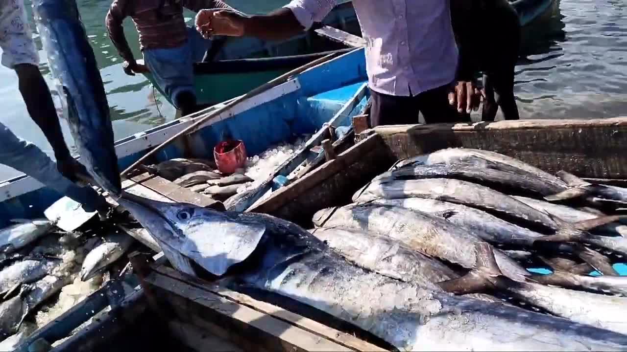 Big Fish Catching || Amazing GholFish || Deep sea in Gujarat fishing Boat ||-2