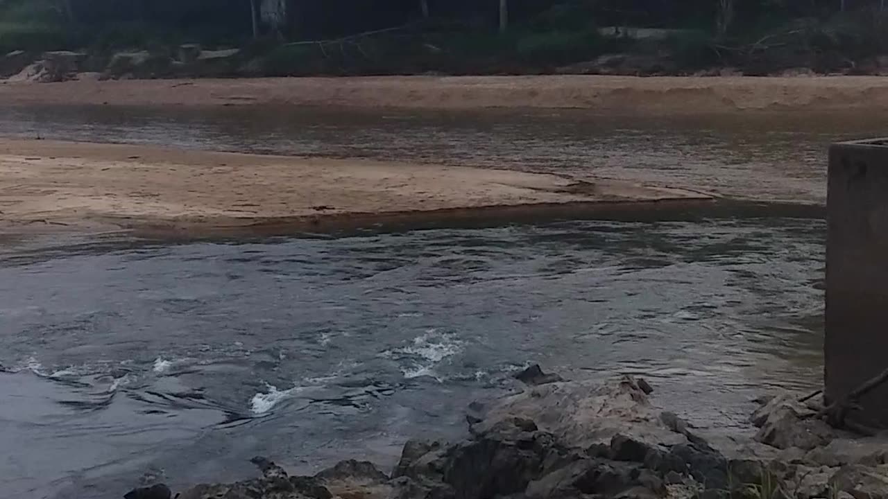 6.6.2024 The Barron River, Kuranda