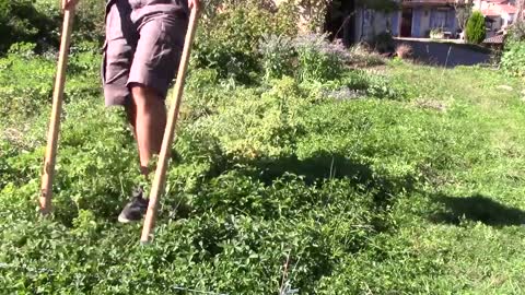 DÉMARRER SON POTAGER / créer une planche de culture