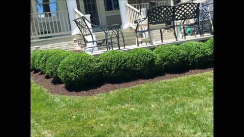 RZ & P Landscaping - (703) 977-3163