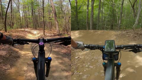 Ridgeline Trail DuPont NC old/new Aug 2022 & Sep 2022