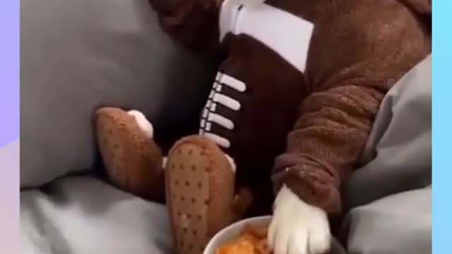 Funny Dogs | Dog Having His Breakfast With His Hand