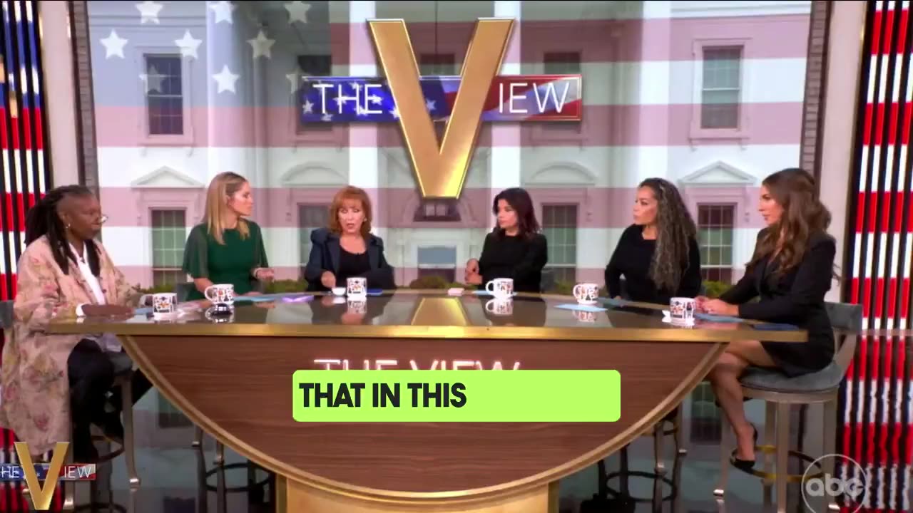 The View Host has a very ‘democratic’ suggestion after Kamala’s epic loss