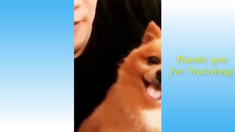 😂🐶 Aww So Cute Cats ♡ Best Funny Cat Videos 2021 😂🐶