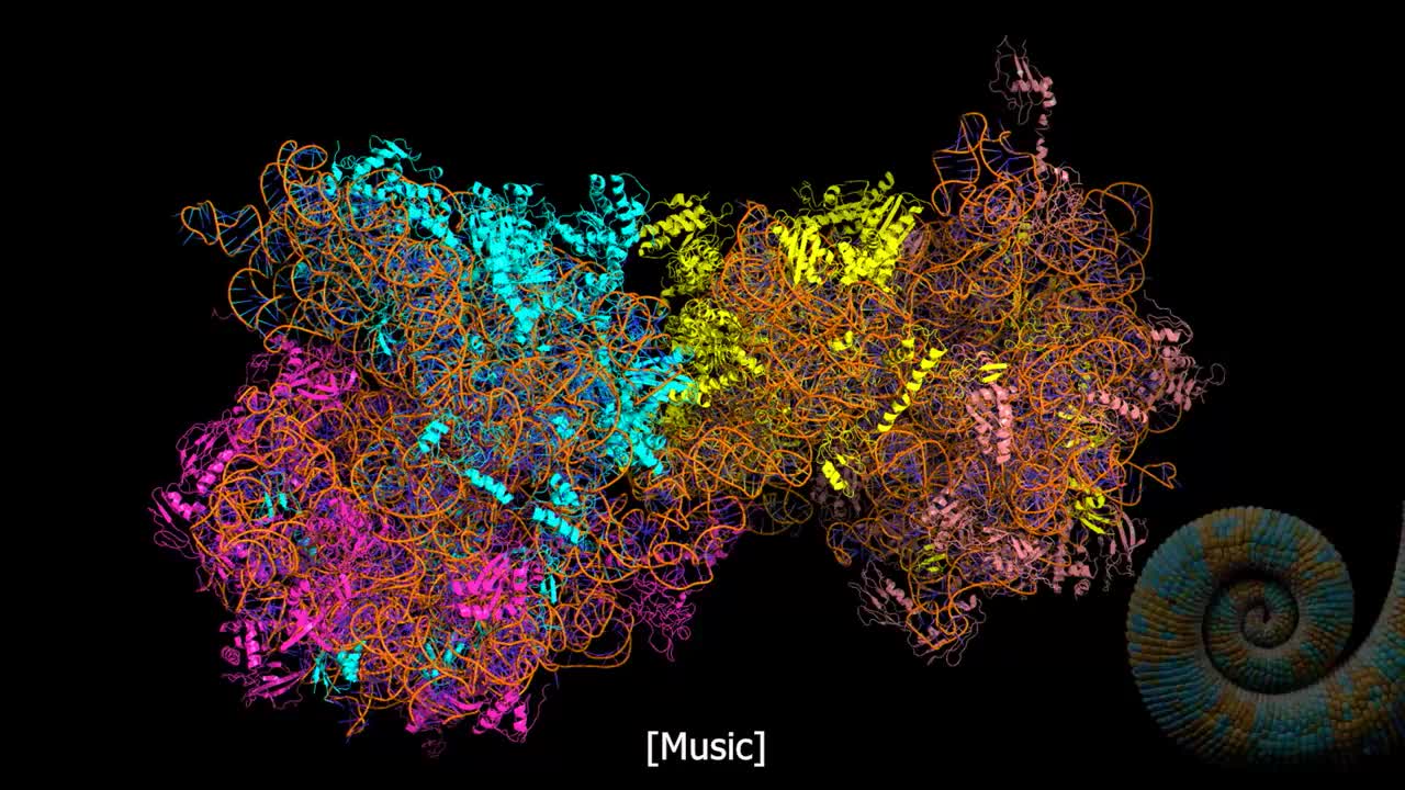 PROOF GOD EXISTS Ribosome Monster Molecular Machine NOT A CHANCE