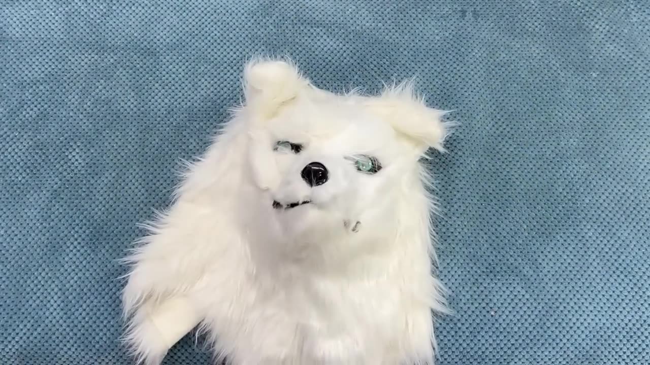 Dogs And Cats Pranked By Wolf Mask! Cutest Husky Reaction