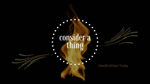 Thorns of the Soil, a Thorn Crown, & Kingdom Life - Consider A Thing - Ep. 3