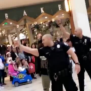 Onlookers Thought Cops Were Breaking Up Mall Dancers!