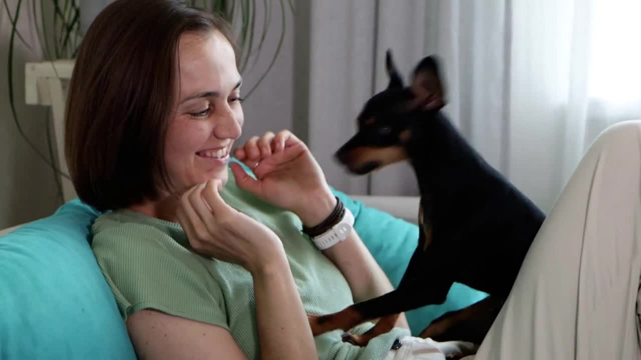 A young cheerful woman is playing with a little dog and stroking it on the sofa at home