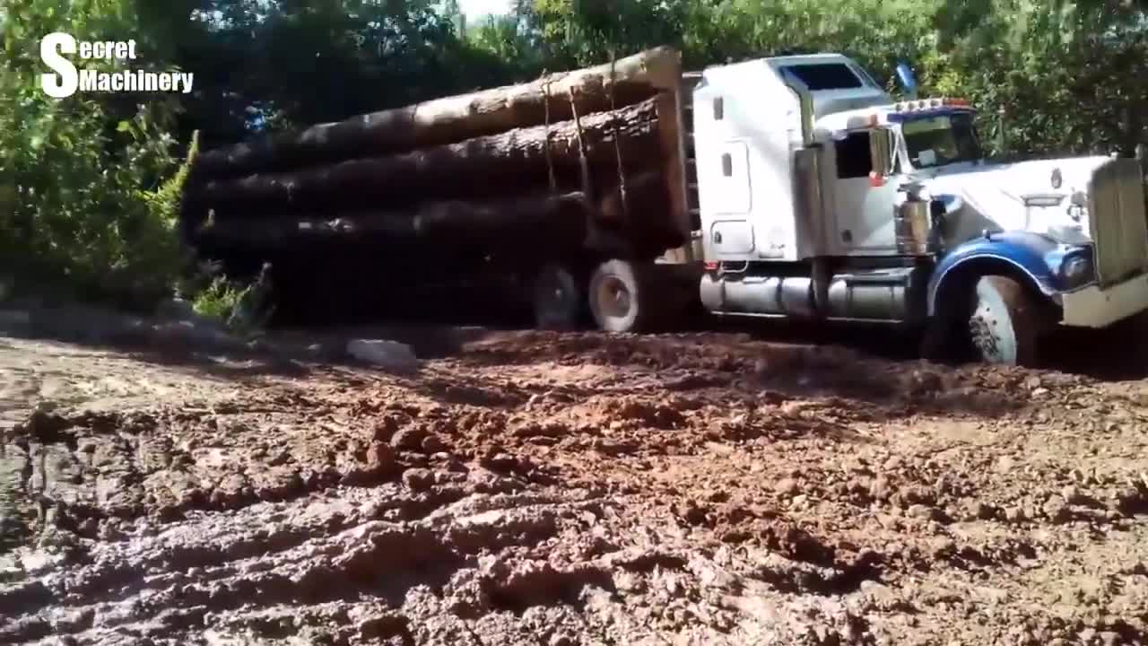 Extreme dangerous fastest logging wood truck operator heavy equipment