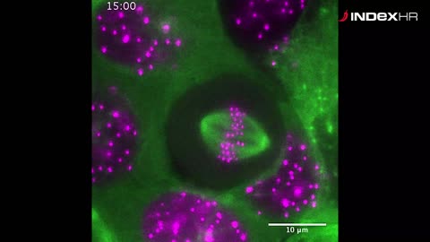 Veliko otkriće hrvatskih znanstvenika