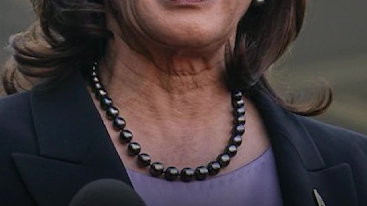 Washington insider AJ Rice Exposes the Truth About Kamala Harris