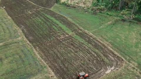 Feeding the Nation from Polonnaruwa ❤️ #FarmingLife #DroneFootage"