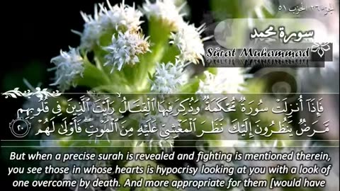 47.SURAH 047 MUHAMMAD RECITATION BY SHEIKH MAHER AL MUAI.mp4