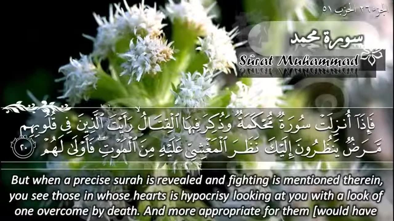 47.SURAH 047 MUHAMMAD RECITATION BY SHEIKH MAHER AL MUAI