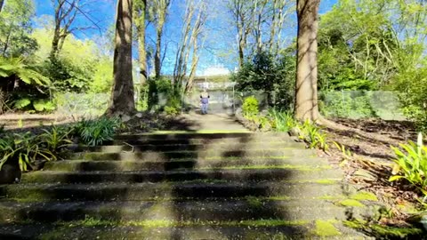 Beautiful Forgotten Mansion In the Hills of Melbourne.mp4