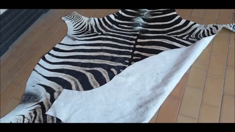 Smaller cute Zebra Rug hide skin