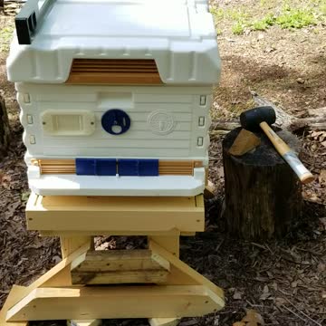 Apimaye Beehive Getting the House ready for the new residents
