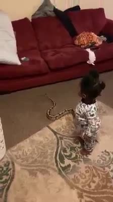 Kid drags a Snake into the house,See the mothers reaction