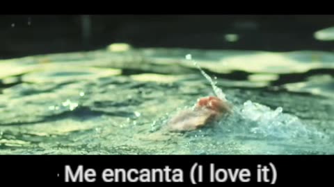 Nancys Rubias - Me Encanta (I Like)