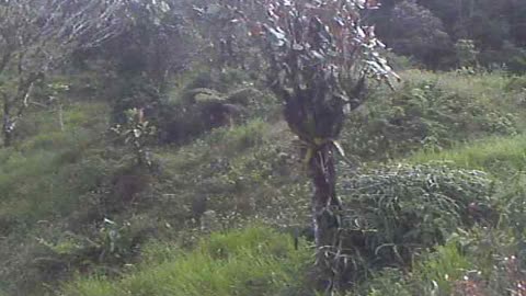 Panoramic View at base of Pan de Azucar