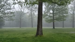 Storm front -04