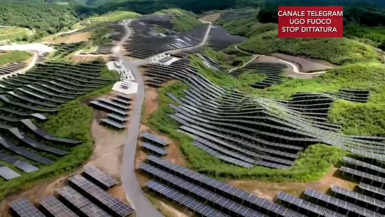 I criminali del green distruggono l'ambiente, gli habitat e gli ecosistemi.