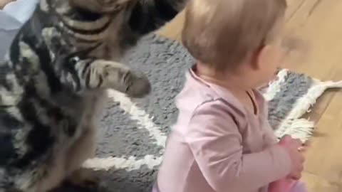 Little cat and little girl doing Funny moment