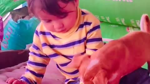 Cute baby playing with dog 🐕#dog