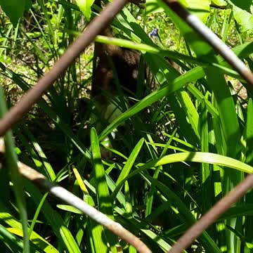 How Did You Get Over There?