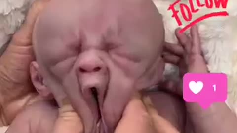 baby reborn frills