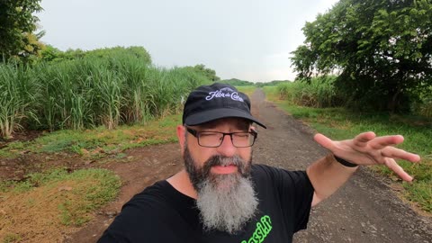 #Fields North of #Poneloya Road | Wild Leon #Countryside in #Nicaragua | El #Campo | #Rain #Lluvia