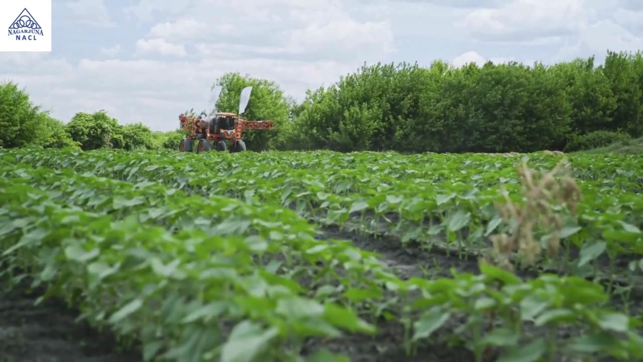 Organic Insecticides for Sustainable Farming in India | Herbicides