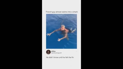 Discord memes