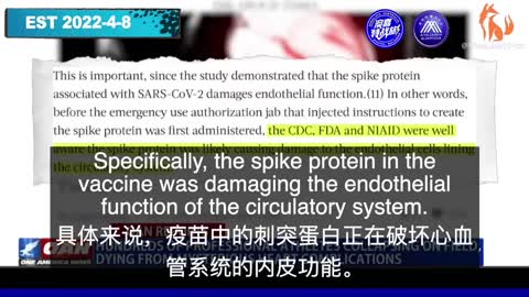 巧合嗎？過去一年，運動員倒地和死亡的人數是我們從未見過的。近800名運動員，處於生命最佳狀態的年輕健康人，在球場上摔倒了。
