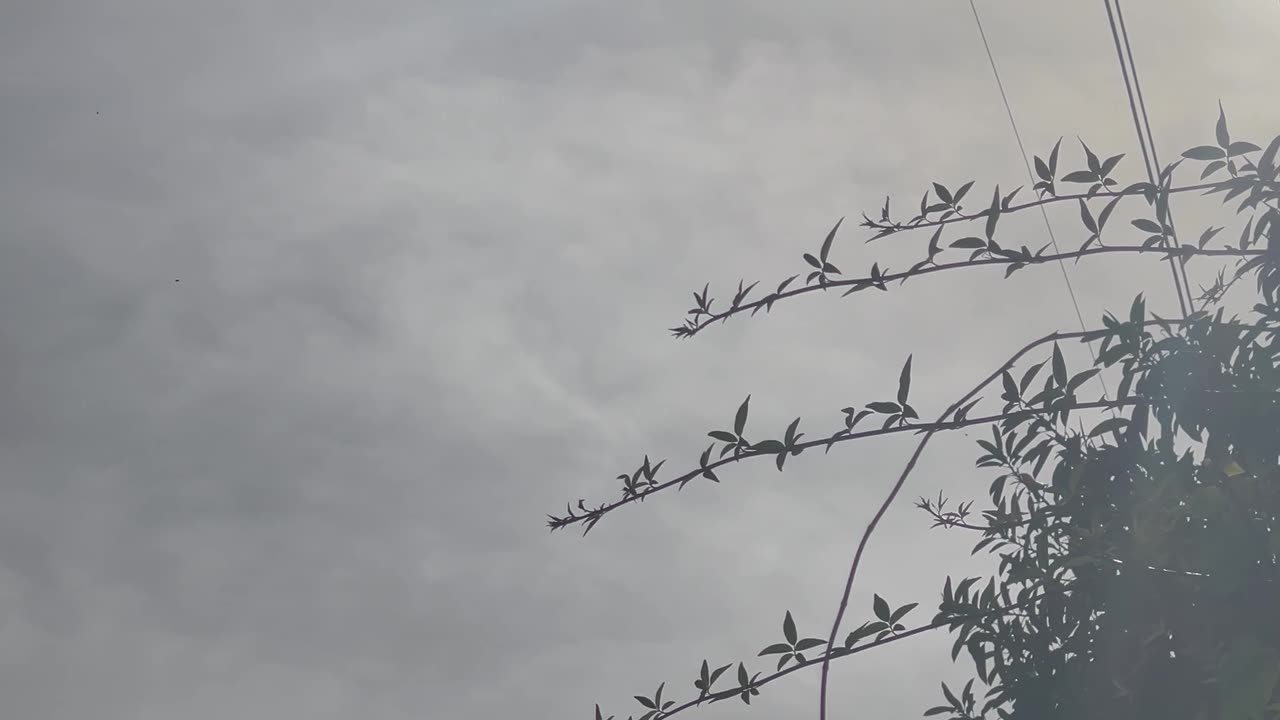 Watch Chemtrails in LA Dissolve in Real Time (about 10 minutes)